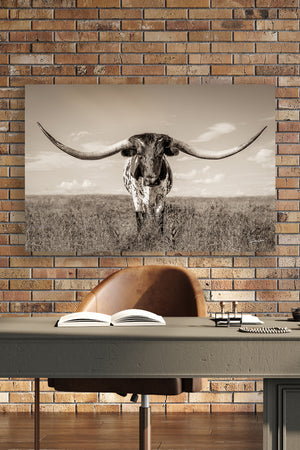Longhorn wall canvas barnwood framed Western fine art print by Debra Gail Fine Art