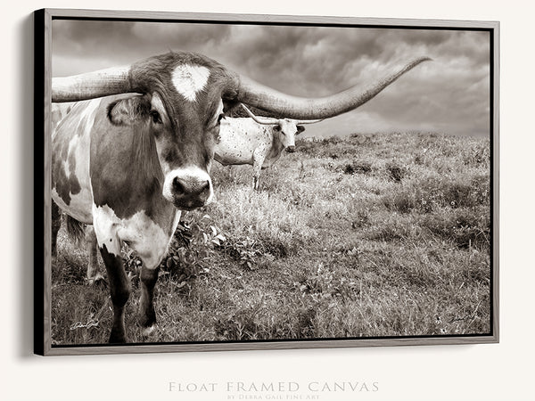 LONGHORN COW CANVAS ART PRINT - RUSTIC DECOR