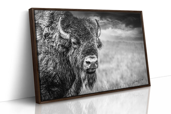 HUGE BISON CLOSE UP PRINT - BUFFALO WALL ART