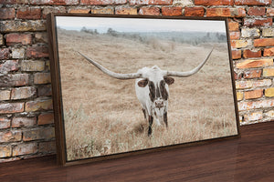 Texas Longhorn wall art – Western ranch photography print by Debra Gail Fine Art