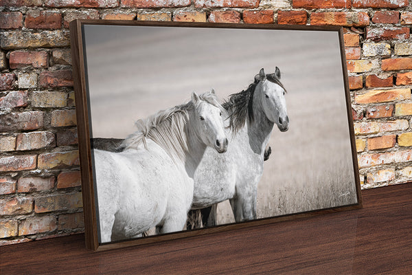 Mustang Horse Print - Perfect for Horse Lovers