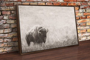 Minimalist Bison Canvas Art Print