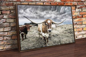 Longhorn cow wall decor canvas – rustic Western fine art print by Debra Gail Fine Art
