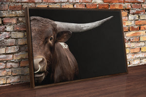 Texas Longhorn wall art – Western ranch photography print by Debra Gail Fine Art