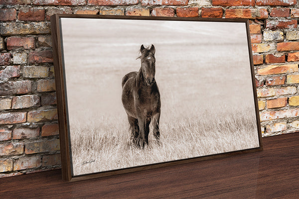 HORSE ON THE PRAIRIE - WESTERN DECOR PRINT