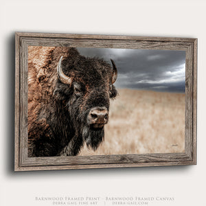 Bison Bull Close Up Photography | Rustic Buffalo Prairie Canvas Print