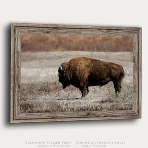 Rustic Bison Wall Art | Buffalo Canvas Print Western Farmhouse Decor
