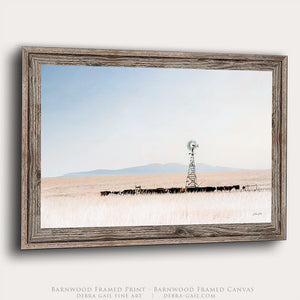 Black Angus Cow Wall Art | Prairie Cattle Canvas Print - Windmill Decor