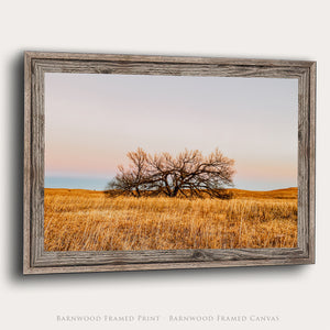 Great Plains Fine Art | Kansas Flint Hills Western Prairie Photography 