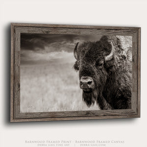 American Bison Wall Art in Neutral Tones |  Monochrome Buffalo Photography - Western Ranch Decor