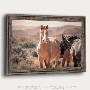 Wild Horses of the Pryor Mountains | Wild Horse Fine Art Photography