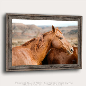 Western Horse Photography | Rustic Ranch Decor, Chestnut Horse Canvas Print
