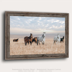 Flint Hills Wild Horses Roaming | Western Horse Fine Art Photography