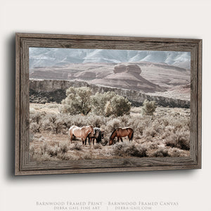 Barnwood framed Pryor Mountain wild horses gathered among sagebrush and cottonwood trees in Bighorn Canyon, original muted Western landscape photography by Debra Gail Fine Art.