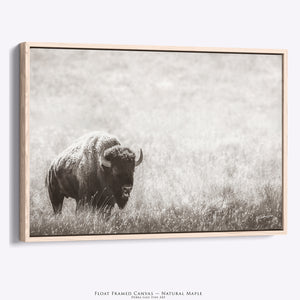 Bison Canvas Art | Monochrome Buffalo Wall Art - Rustic Western Decor Print