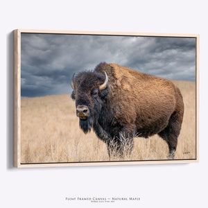 Buffalo Wall Art | Rustic Bison Print - Western Farmhouse Decor Canvas