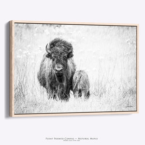 Bison Wall Art | Buffalo Canvas Print - Rustic Farmhouse Decor