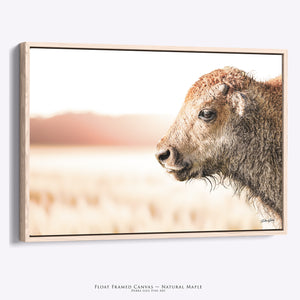 Bison Wall Art | Buffalo Calf Canvas Farmhouse Nursery Decor
