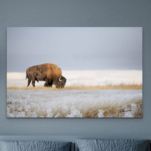 Bison wall art – rustic prairie photography print by Debra Gail Fine Art