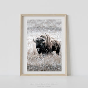 Vertical American Buffalo Canvas Wall Art | Iconic Bison Print