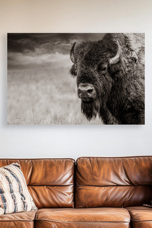 Western Bison Art | Rustic Farmhouse Bison Wall Decor - Buffalo Canvas Print