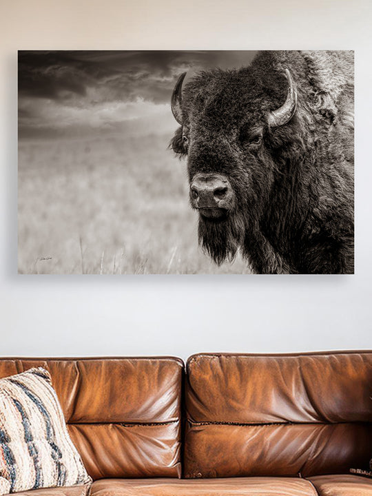 American Bison Wall Art | Buffalo & Western Prints – Debra Gail Fine Art
