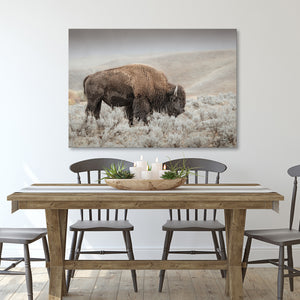 Bison wall art – rustic prairie photography print by Debra Gail Fine Art