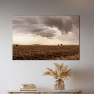 Black Angus cattle wall art – rustic Western photography print by Debra Gail Fine Art