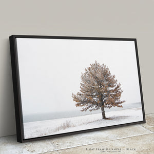 Winter Solitude | Flint Hills Kansas Landscape Wall Art
