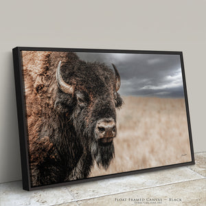 Bison Bull Close Up Photography | Rustic Buffalo Prairie Canvas Print