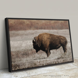 Rustic Bison Wall Art | Buffalo Canvas Print Western Farmhouse Decor