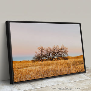 Great Plains Fine Art | Kansas Flint Hills Western Prairie Photography 