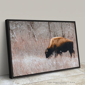 Buffalo Canvas Art | Bison Wall Art - Rustic Western Decor - Great Plains Buffalo