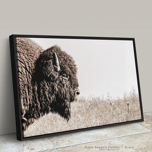 Neutral Bison Wall Art - Rustic Western Decor | Prairie Wildlife Canvas Print