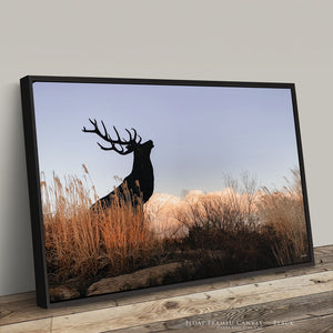 Close-up of an elk canvas print in a handcrafted float frame.
