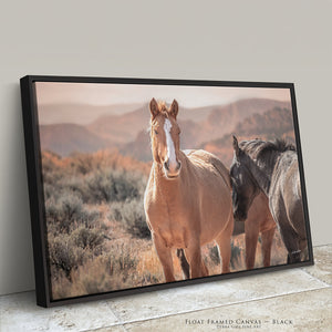 Wild Horses of the Pryor Mountains | Wild Horse Fine Art Photography