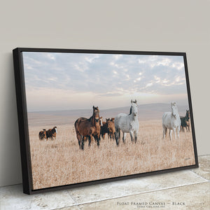 Flint Hills Wild Horses Roaming | Western Horse Fine Art Photography