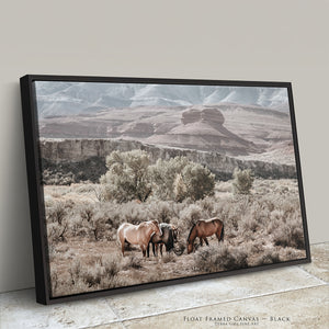 Pryor Mountain wild horses black framed canvas gathered among sagebrush and cottonwood trees in Bighorn Canyon, original muted Western landscape photography by Debra Gail Fine Art.