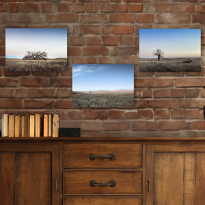 SET OF 3 WESTERN GOTHIC TREE PRINTS IN BLUE TONES