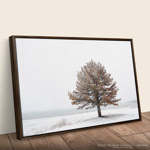 Winter Solitude | Flint Hills Kansas Landscape Wall Art