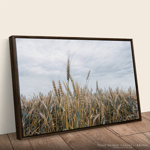 Great Plains Wheat Landscape Fine Art | Western Prairie Photography