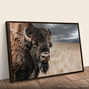 Bison Bull Close Up Photography | Rustic Buffalo Prairie Canvas Print