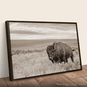 Plains Buffalo on the Prairie Photography | Sepia Toned Bison Canvas Print