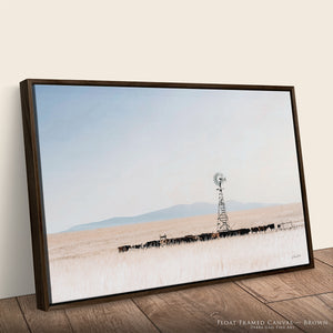 Black Angus Cow Wall Art | Prairie Cattle Canvas Print - Windmill Decor