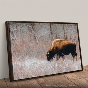 Buffalo Canvas Art | Bison Wall Art - Rustic Western Decor - Great Plains Buffalo