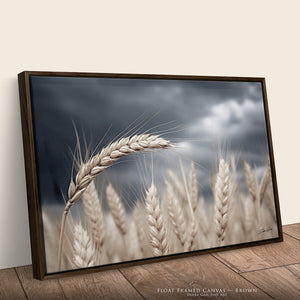 Kansas Wheat Field Wall Art | Great Plains Farm Photography