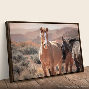 Wild Horses of the Pryor Mountains | Wild Horse Fine Art Photography