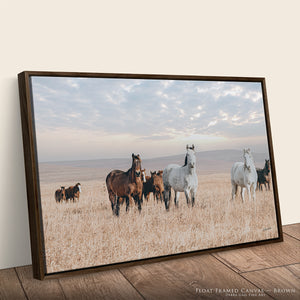 Flint Hills Wild Horses Roaming | Western Horse Fine Art Photography