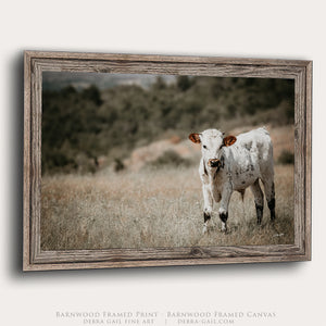Longhorn Calf Canvas | Texas Longhorn Art - Rustic Farmhouse Wall Decor Print