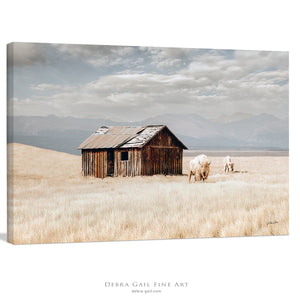 Buffalo fine art print – spiritual white bison Great Plains wildlife wall decor by Debra Gail Fine Art